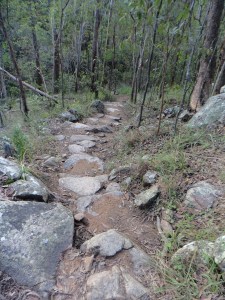 Eugenia circuit  heading towards Simpson Falls