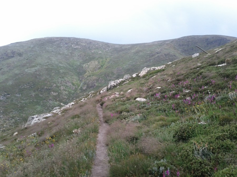 Some training inspiration from my trip to this year's cancelled edition of B2H