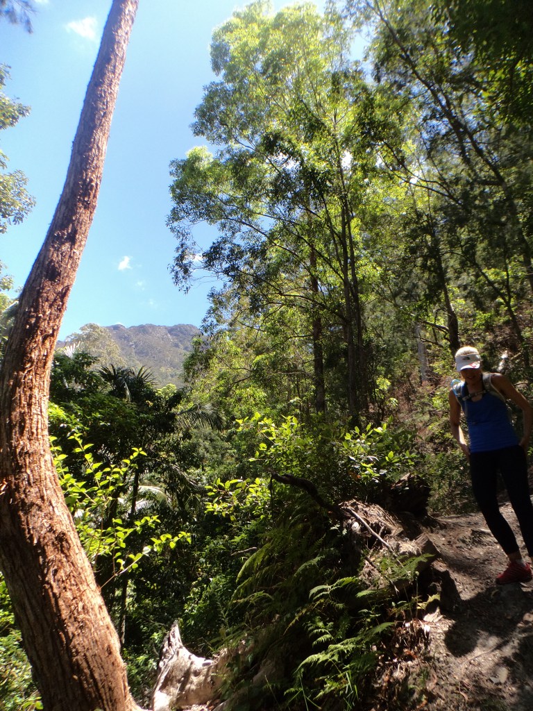 Delina Rahmate descending Mt Barney 2