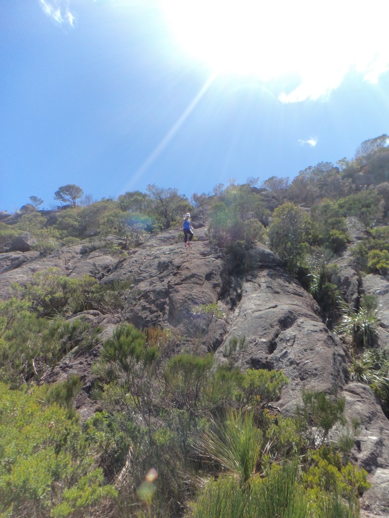 Delina Rahmate descending Mt Barney