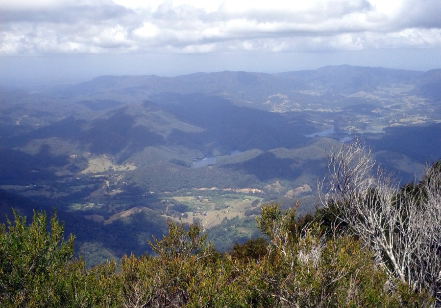 Ben_Duffus_view_Mt_Warning