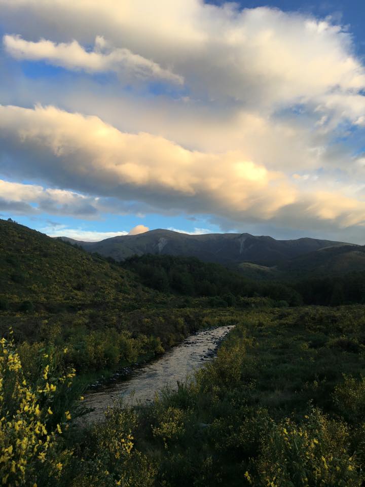 Photo by TrailRun Magazine 