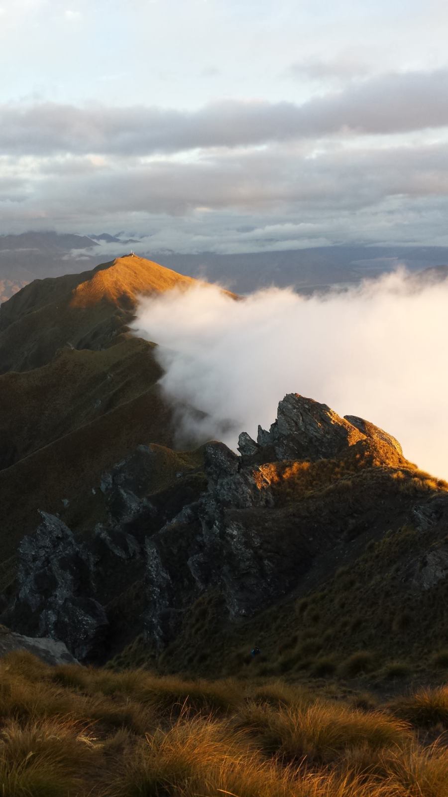 Ultra_Easy_100km_Mt_Alpha_James_Hardcombe